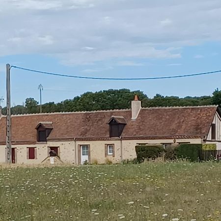 Gites Les Terriers Saint-Jean-Froidmentel Екстериор снимка